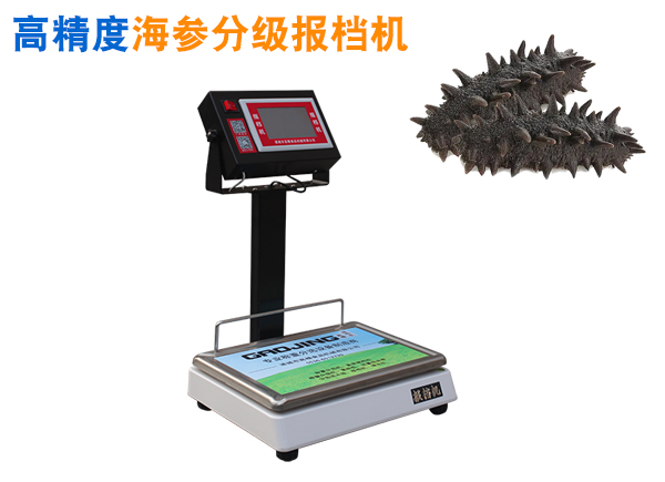 高精度海參分級報檔機(jī) 海參報檔機(jī) 海參分級機(jī) 海參分頭報檔機(jī)